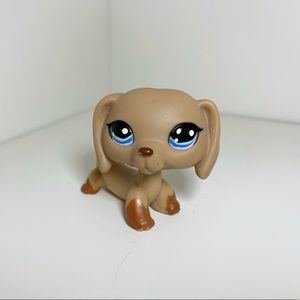 RARE Littlest Pet Shop - Dachshund